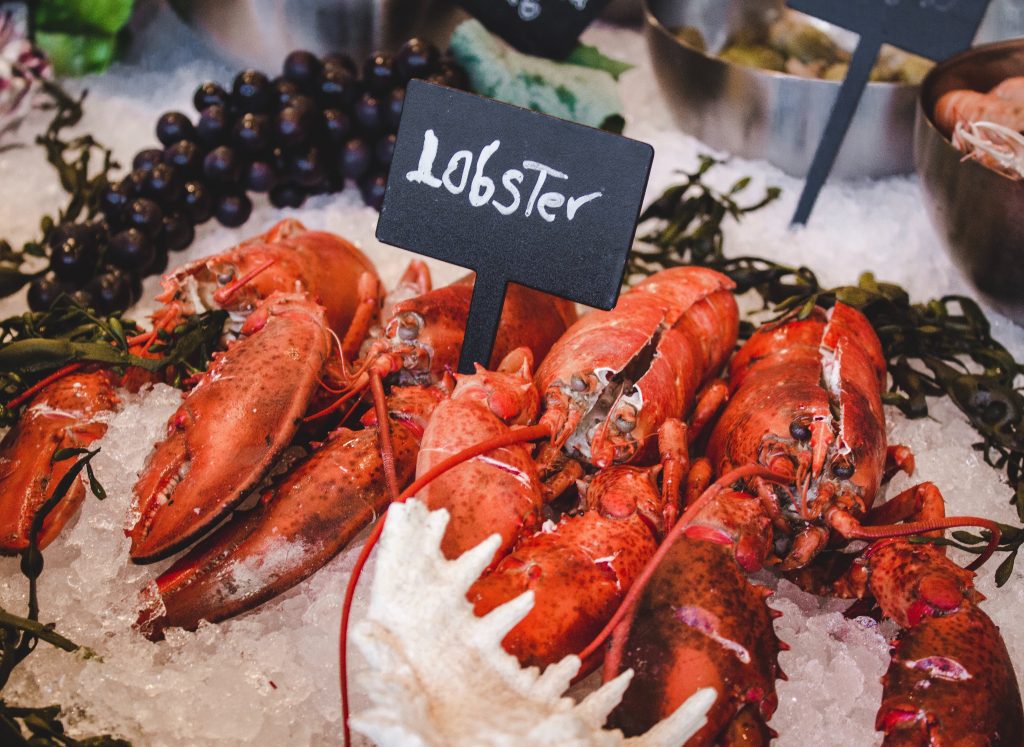 lobster